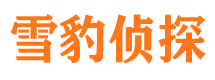 修文侦探公司